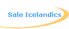 Sale Icelandics