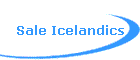 Sale Icelandics